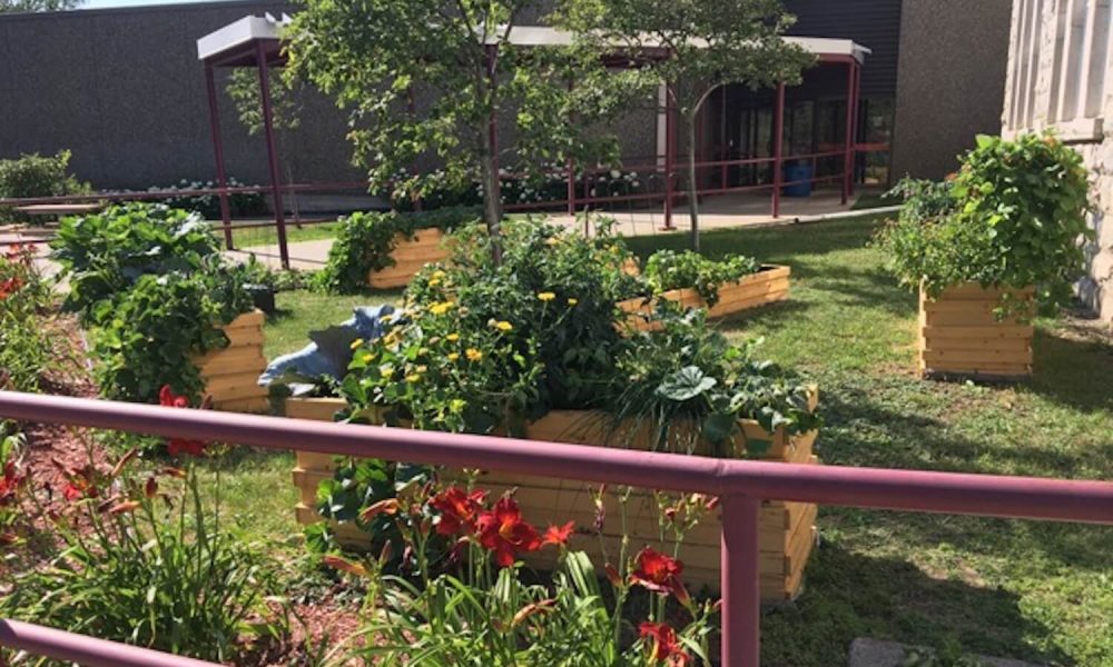Potager urbain  : Activité permettant aux jeunes de 1e à 5e secondaire à se familiariser avec les bases de la botanique et de produire fleurs, fruits et légumes.
